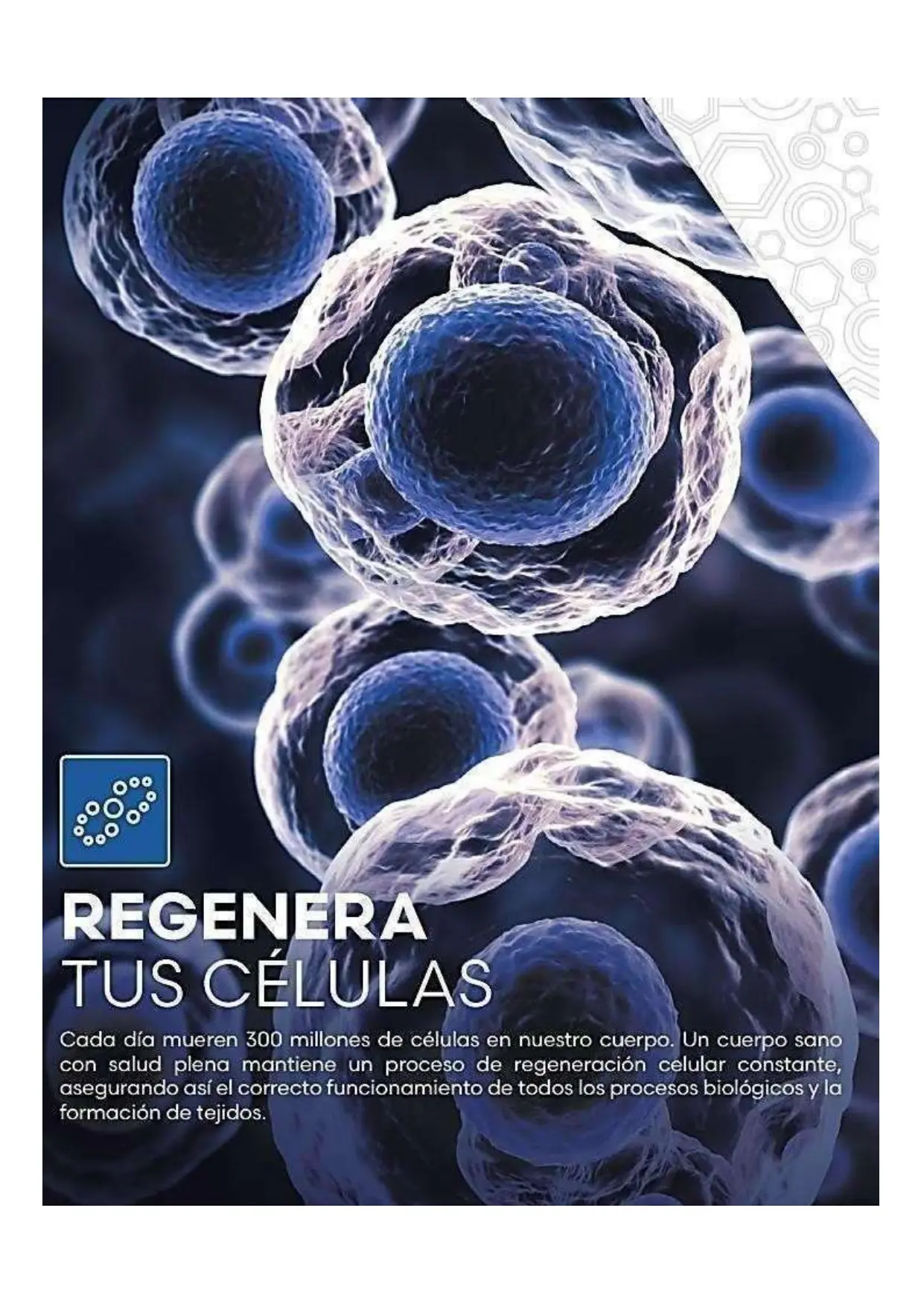 Catálogo Oficial FuXion Colombia 2026 - Página 16 del portafolio de bebidas funcionales en COP