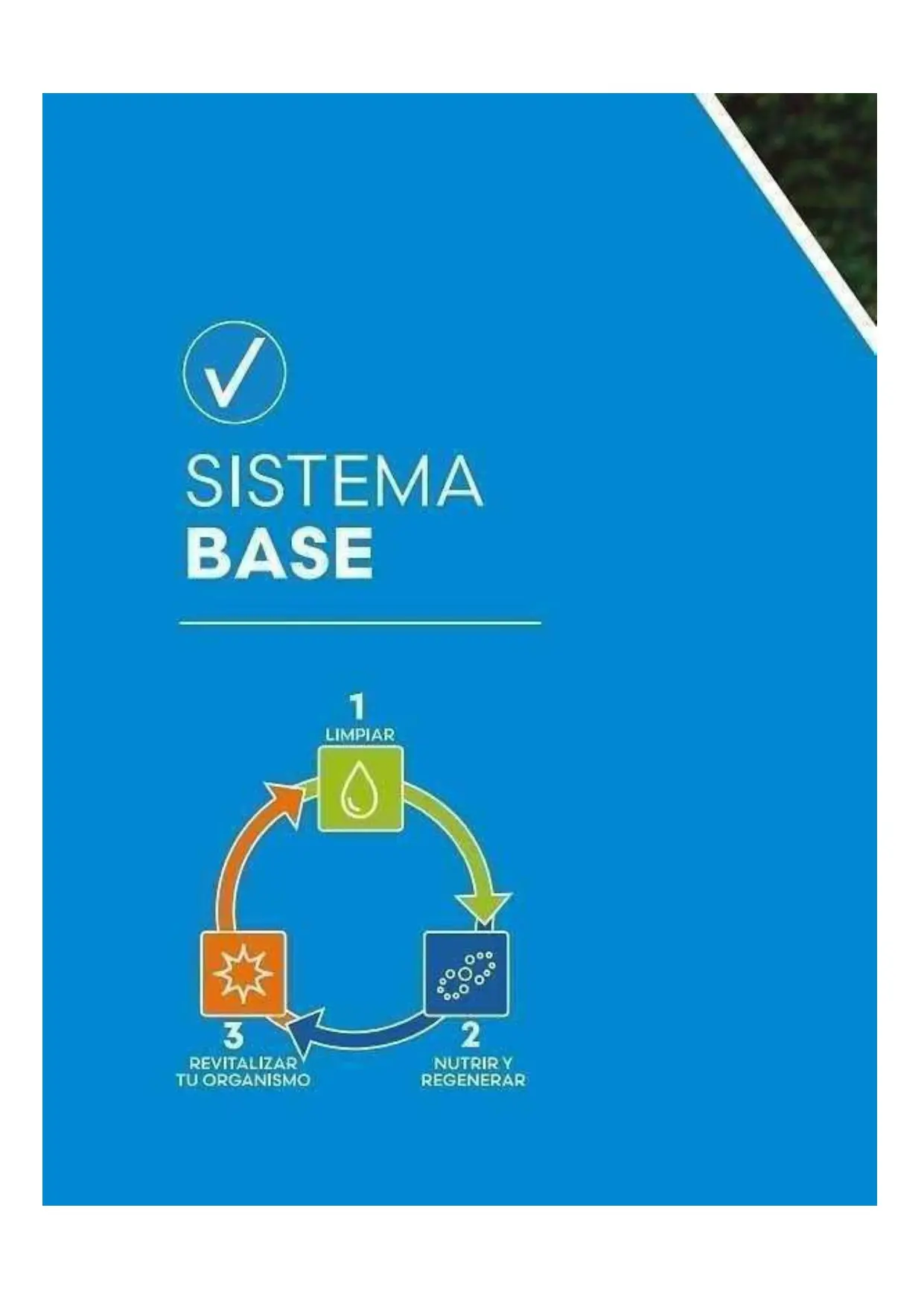 Catálogo Oficial FuXion Colombia 2026 - Página 7 del portafolio de bebidas funcionales en COP